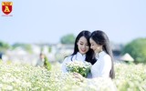 Ngẩn ngơ ngắm hoa khôi sinh viên Hà Nội khoe sắc bên cúc họa mi